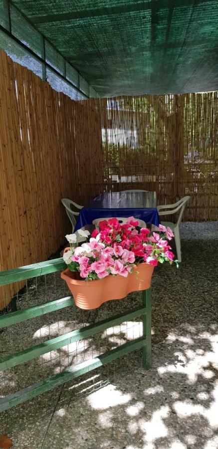Camping Nuovo Massa  Bagian luar foto